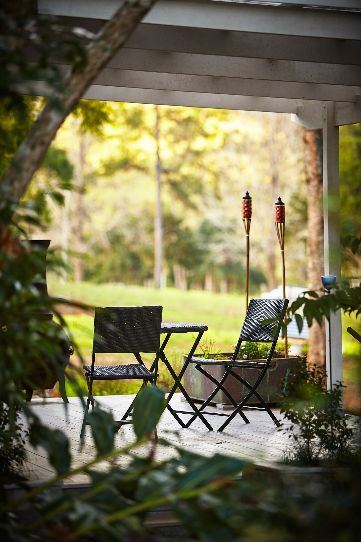 bellingen holiday accommodation, bellingen farmstay, moo river farm, bellingen cottage