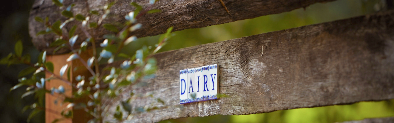 bellingen weather, bellingen markets, bellingen b&b, bellingen farmstay, dorrigo national park, dorrigo weather, urunga,