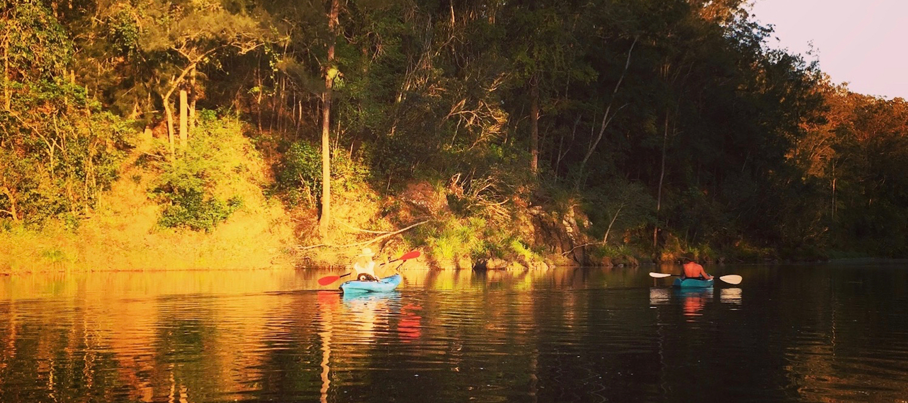 bellinger river kayaking, moo river farm, bellingen activities, bellingen holiday accommodation, bellingen farmstay, moo river farm, bellingen cottage