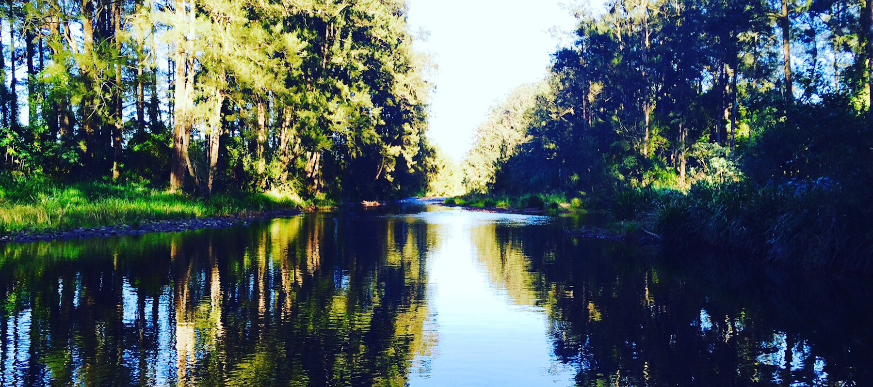 bellingen weather, bellingen markets, bellingen b&b, bellingen farmstay, dorrigo national park, dorrigo weather, urunga, bellingen accommodation, bellingen location shoot, photo shoot, film shoot location, moo river farm, bellinger river, music video location