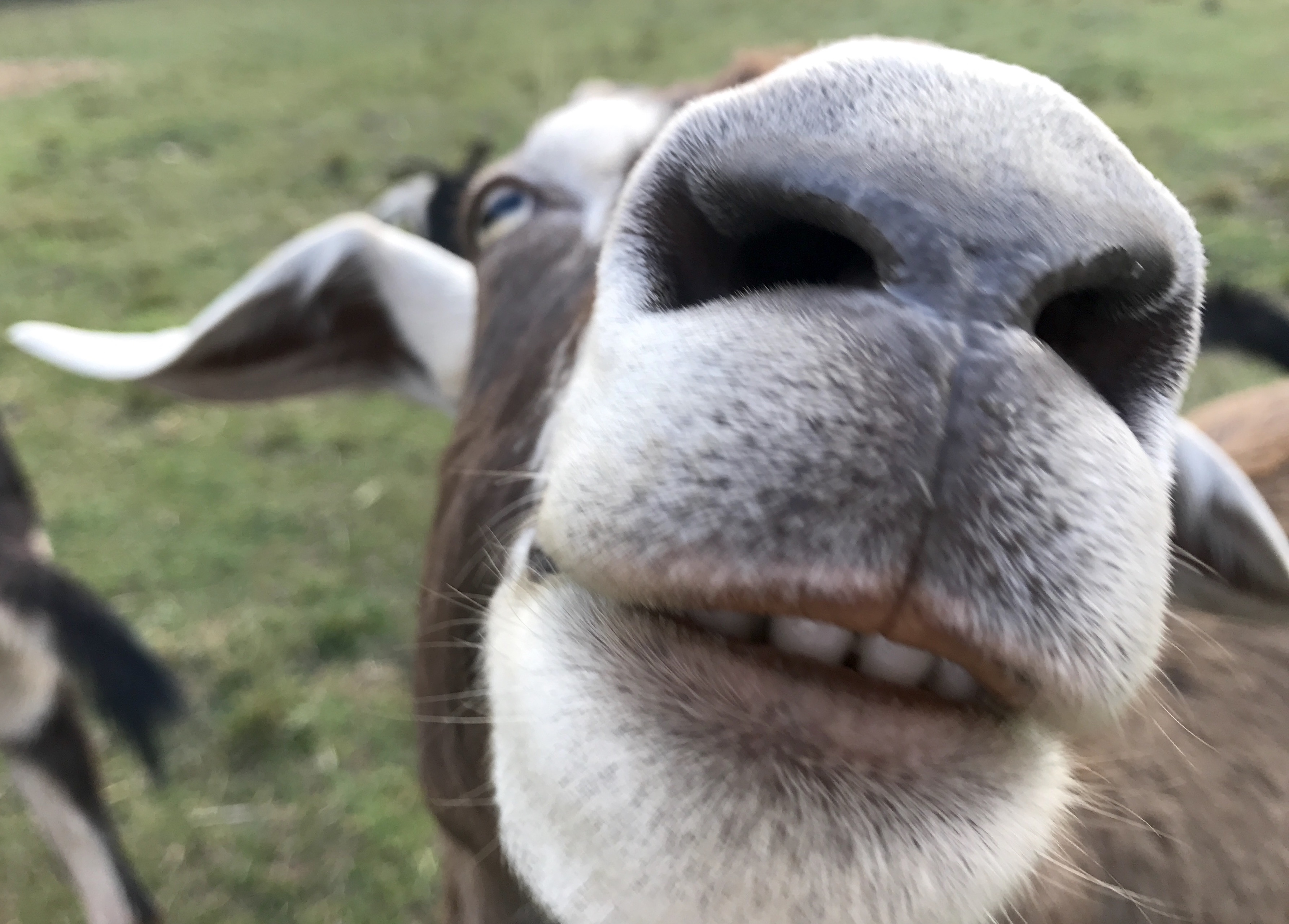 Mo Smiling into camera